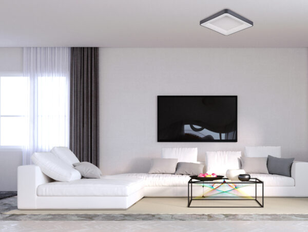 ideal for stylish interiors.