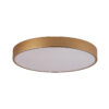 Flush mount ceiling light Lux Orbital – flush mount ceiling lights in golden sandblasted and acrylic