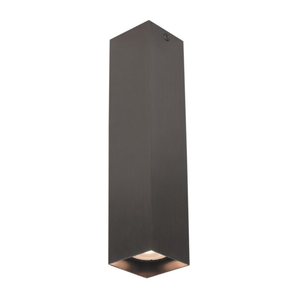 Surface mounted ceiling light Lux Ander – surface mounted ceiling lights in brown and aluminum