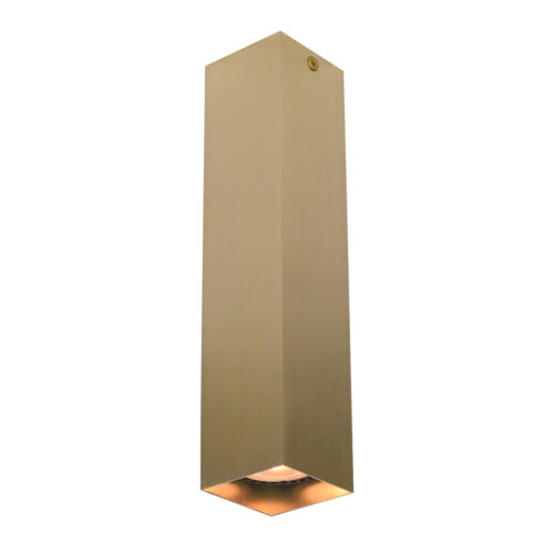Surface mounted ceiling light Lux Ander – surface mounted ceiling lights in black