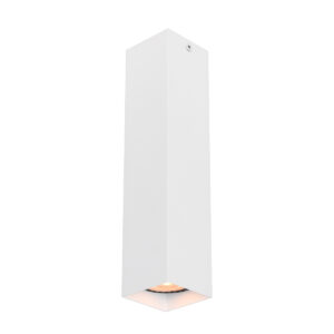 Surface mounted ceiling light Lux Ander – surface mounted ceiling lights in sandy white and aluminum