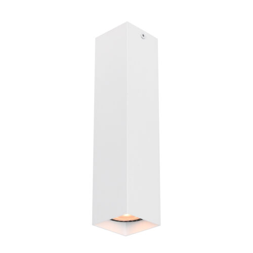 Surface mounted ceiling light Lux Ander – surface mounted ceiling lights in sandy white and aluminum