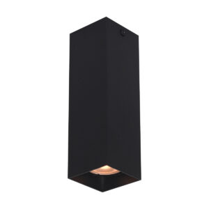 Surface mounted ceiling light Lux Ander – surface mounted ceiling lights in sandblasted black and aluminum