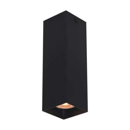 Surface mounted ceiling light Lux Ander – surface mounted ceiling lights in sandblasted black and aluminum