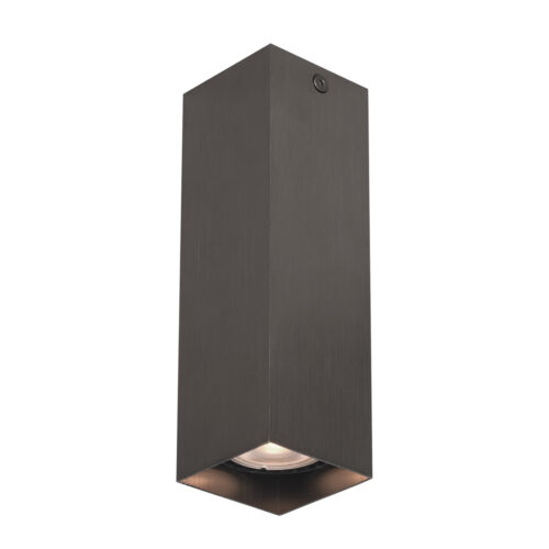 Surface mounted ceiling light Lux Ander – surface mounted ceiling lights in brown and aluminum