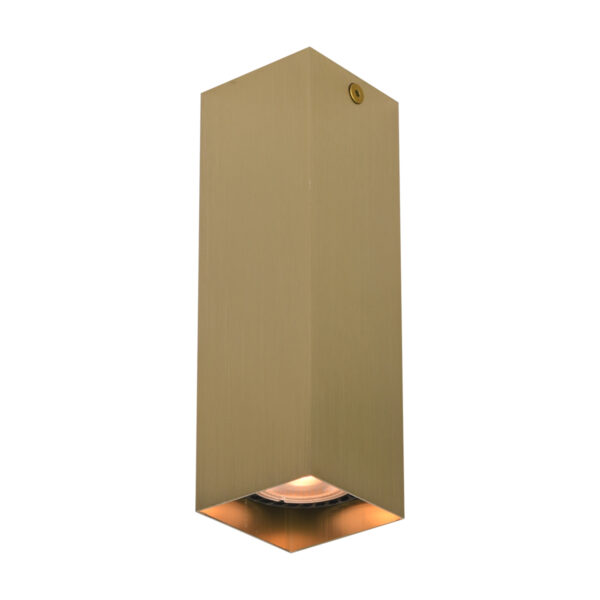 Surface mounted ceiling light Lux Ander – surface mounted ceiling lights in black