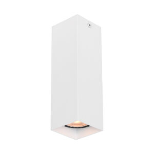 Surface mounted ceiling light Lux Ander – surface mounted ceiling lights in sandy white and aluminum