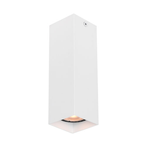 Surface mounted ceiling light Lux Ander – surface mounted ceiling lights in sandy white and aluminum