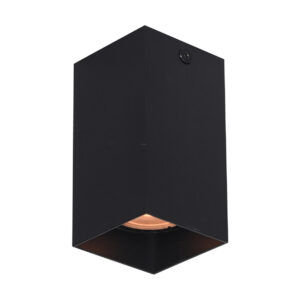 Surface mounted ceiling light Lux Ander – surface mounted ceiling lights in sandblasted black and aluminum