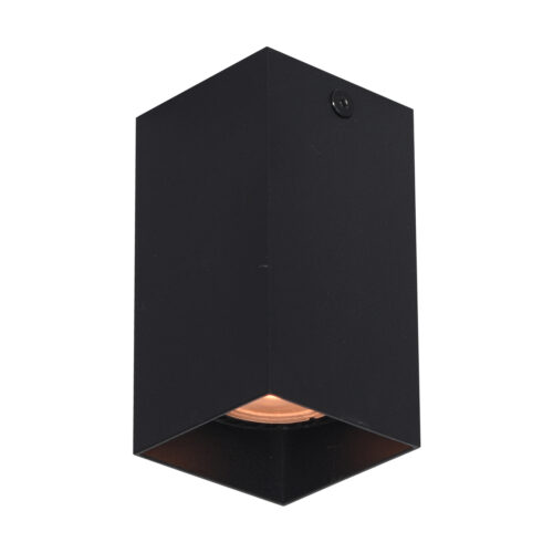 Surface mounted ceiling light Lux Ander – surface mounted ceiling lights in sandblasted black and aluminum