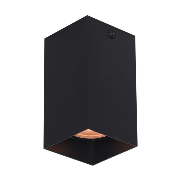 Surface mounted ceiling light Lux Ander – surface mounted ceiling lights in sandblasted black and aluminum