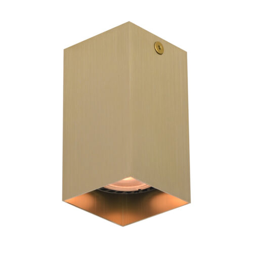 Surface mounted ceiling light Lux Ander – surface mounted ceiling lights in black