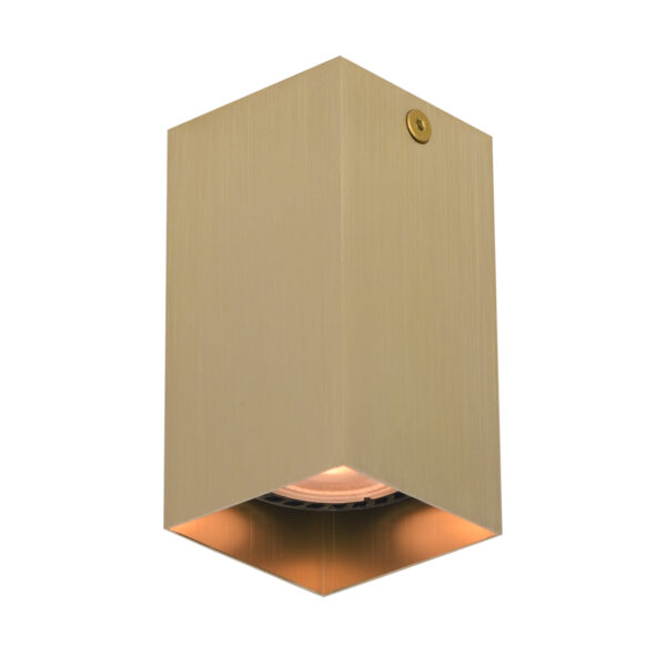 Surface mounted ceiling light Lux Ander – surface mounted ceiling lights in black