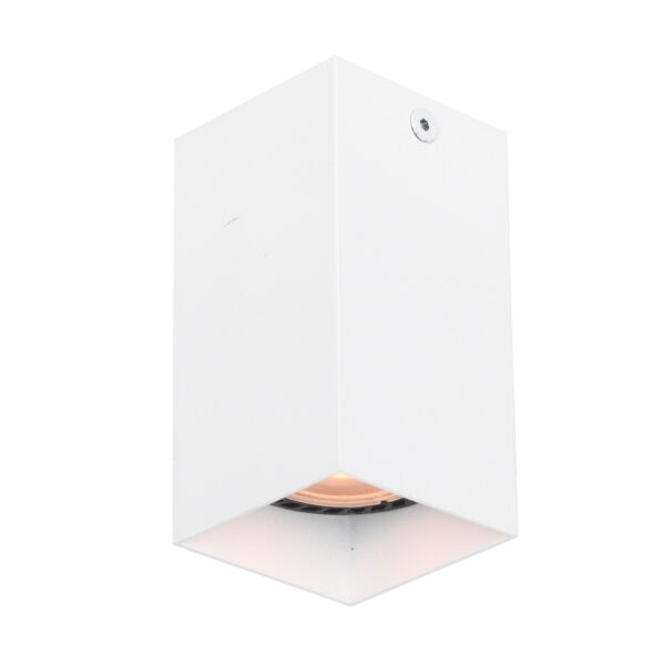 Surface mounted ceiling light Lux Ander – surface mounted ceiling lights in sandy white and aluminum