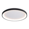 Surface mounted ceiling light Lux Raden 50w – surface mounted ceiling lights in black and steel