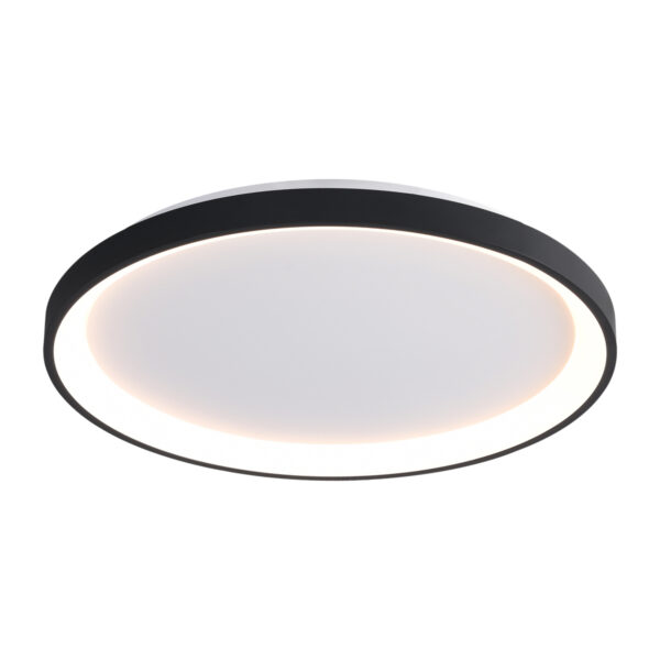 Surface mounted ceiling light Lux Raden 50w – surface mounted ceiling lights in black and steel