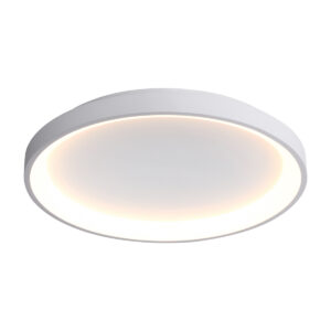 Surface mounted ceiling light Lux Raden – surface mounted ceiling lights in white and steel