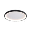 Surface mounted ceiling light Lux Raden – surface mounted ceiling lights in black and steel
