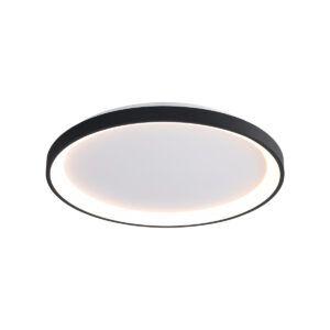 Surface mounted ceiling light Lux Raden – surface mounted ceiling lights in black and steel