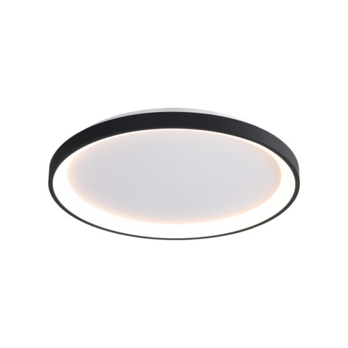 Surface mounted ceiling light Lux Raden – surface mounted ceiling lights in black and steel