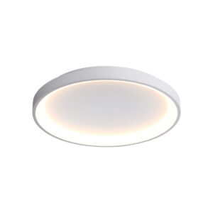 Surface mounted ceiling light Lux Raden 40w – surface mounted ceiling lights in white and steel