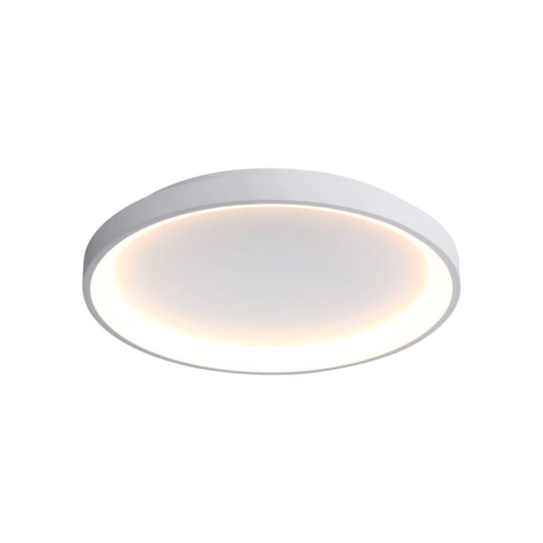Surface mounted ceiling light Lux Raden 40w – surface mounted ceiling lights in white and steel