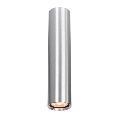 Surface mounted ceiling light Lux Lopus – surface mounted ceiling lights in aluminium and aluminum