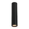 Surface mounted ceiling light Lux Lopus – surface mounted ceiling lights in sandblasted black and aluminum