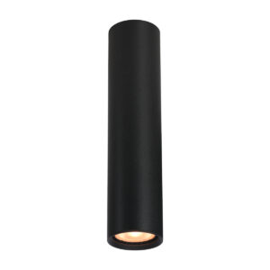 Surface mounted ceiling light Lux Lopus – surface mounted ceiling lights in sandblasted black and aluminum