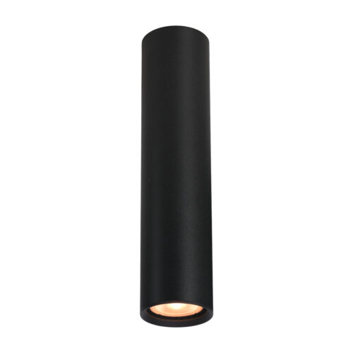 Surface mounted ceiling light Lux Lopus – surface mounted ceiling lights in sandblasted black and aluminum