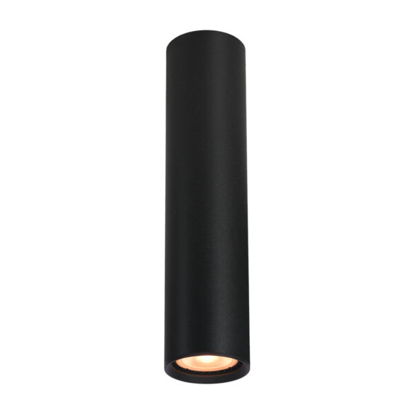 Surface mounted ceiling light Lux Lopus – surface mounted ceiling lights in sandblasted black and aluminum