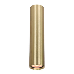 Surface mounted ceiling light Lux Lopus – surface mounted ceiling lights in gold and aluminum