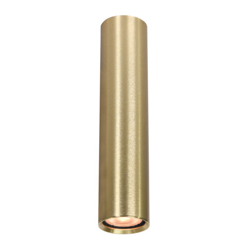 Surface mounted ceiling light Lux Lopus – surface mounted ceiling lights in gold and aluminum