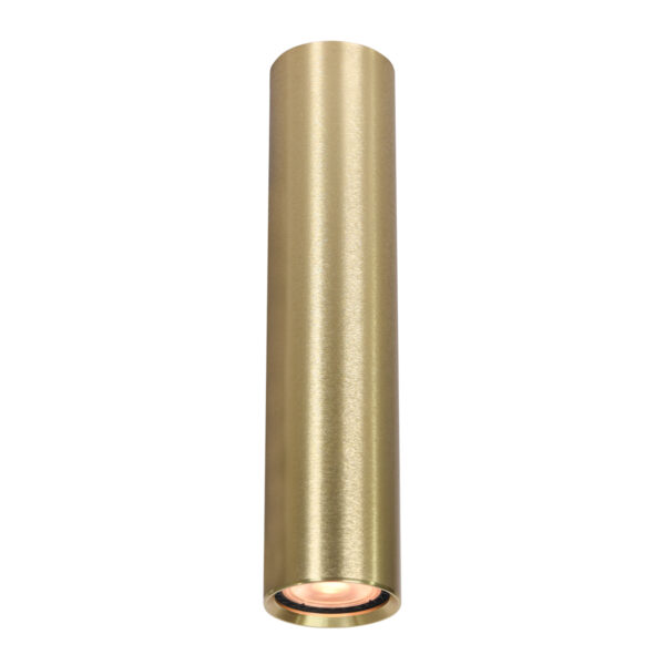Surface mounted ceiling light Lux Lopus – surface mounted ceiling lights in gold and aluminum