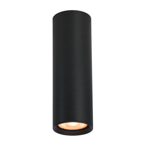 Surface mounted ceiling light Lux Lopus – surface mounted ceiling lights in sandblasted black and aluminum