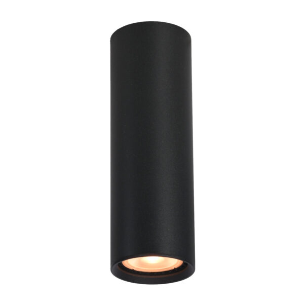 Surface mounted ceiling light Lux Lopus – surface mounted ceiling lights in sandblasted black and aluminum