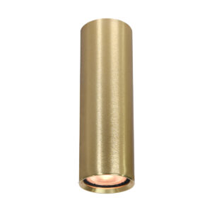 Surface mounted ceiling light Lux Lopus – surface mounted ceiling lights in gold and aluminum