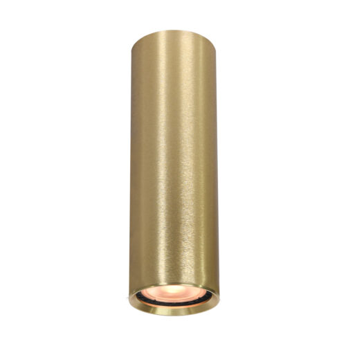 Surface mounted ceiling light Lux Lopus – surface mounted ceiling lights in gold and aluminum