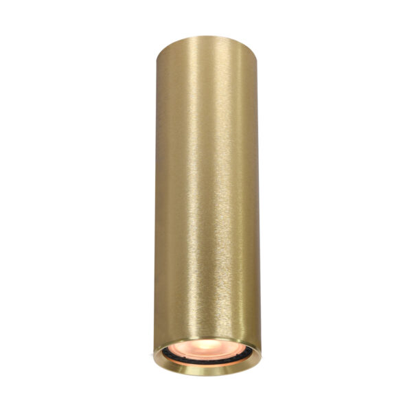 Surface mounted ceiling light Lux Lopus – surface mounted ceiling lights in gold and aluminum