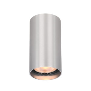 Surface mounted ceiling light Lux Lopus – surface mounted ceiling lights in aluminium and aluminum