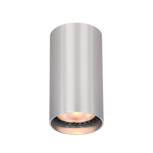 Surface mounted ceiling light Lux Lopus – surface mounted ceiling lights in aluminium and aluminum