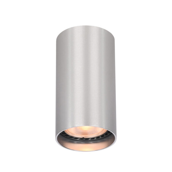 Surface mounted ceiling light Lux Lopus – surface mounted ceiling lights in aluminium and aluminum