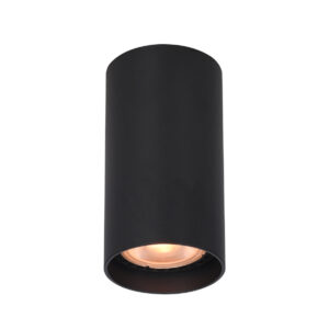 Surface mounted ceiling light Lux Lopus 10w – surface mounted ceiling lights in sandblasted black and aluminum