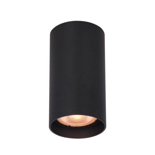 Surface mounted ceiling light Lux Lopus 10w – surface mounted ceiling lights in sandblasted black and aluminum