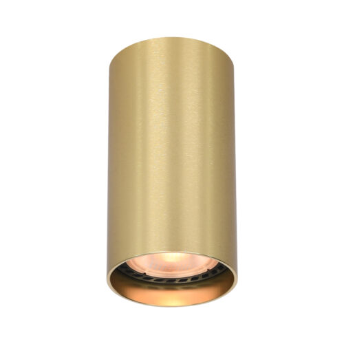 Surface mounted ceiling light Lux Lopus – surface mounted ceiling lights in gold and aluminum