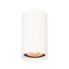 Surface mounted ceiling light Lux Lopus – surface mounted ceiling lights in sandy white and aluminum