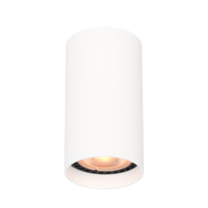 Surface mounted ceiling light Lux Lopus – surface mounted ceiling lights in sandy white and aluminum