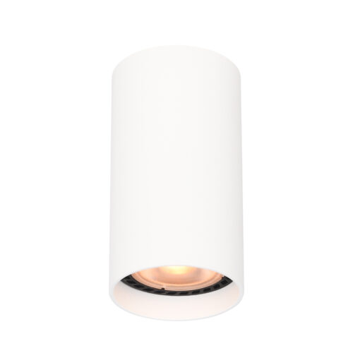 Surface mounted ceiling light Lux Lopus – surface mounted ceiling lights in sandy white and aluminum