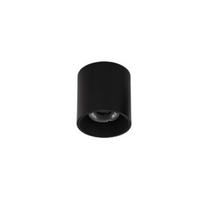 Surface mounted ceiling light Lux Altisma – surface mounted ceiling lights in matt black and aluminum