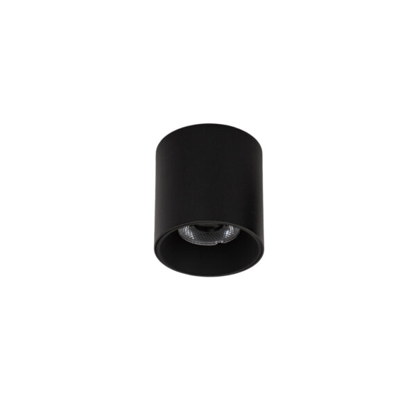 Surface mounted ceiling light Lux Altisma – surface mounted ceiling lights in matt black and aluminum
